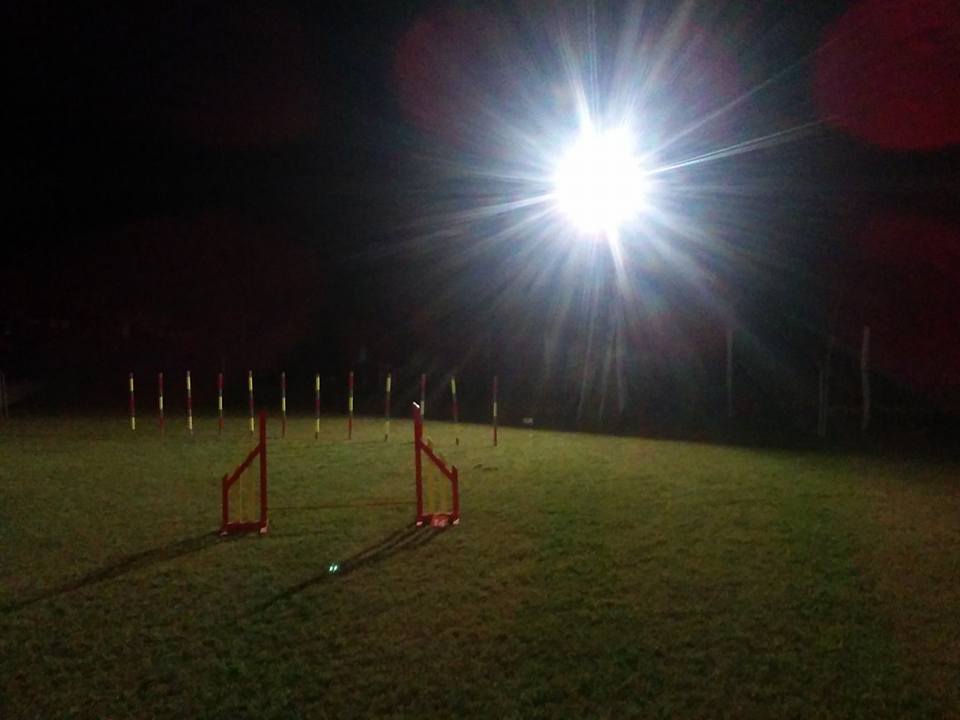 Az agility pálya este, egy reflektor fényében.