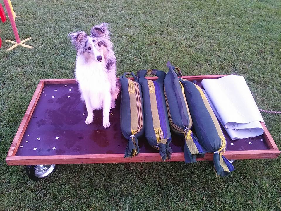 Leon ül a homokzsákok mellett.