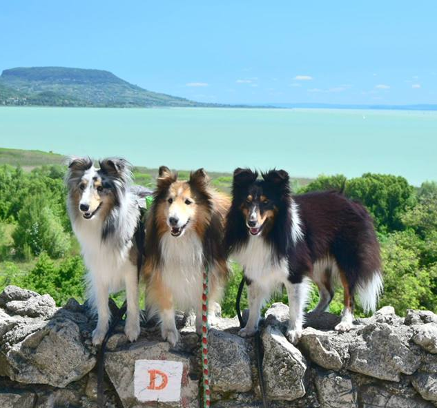 Balatoni kirándulás