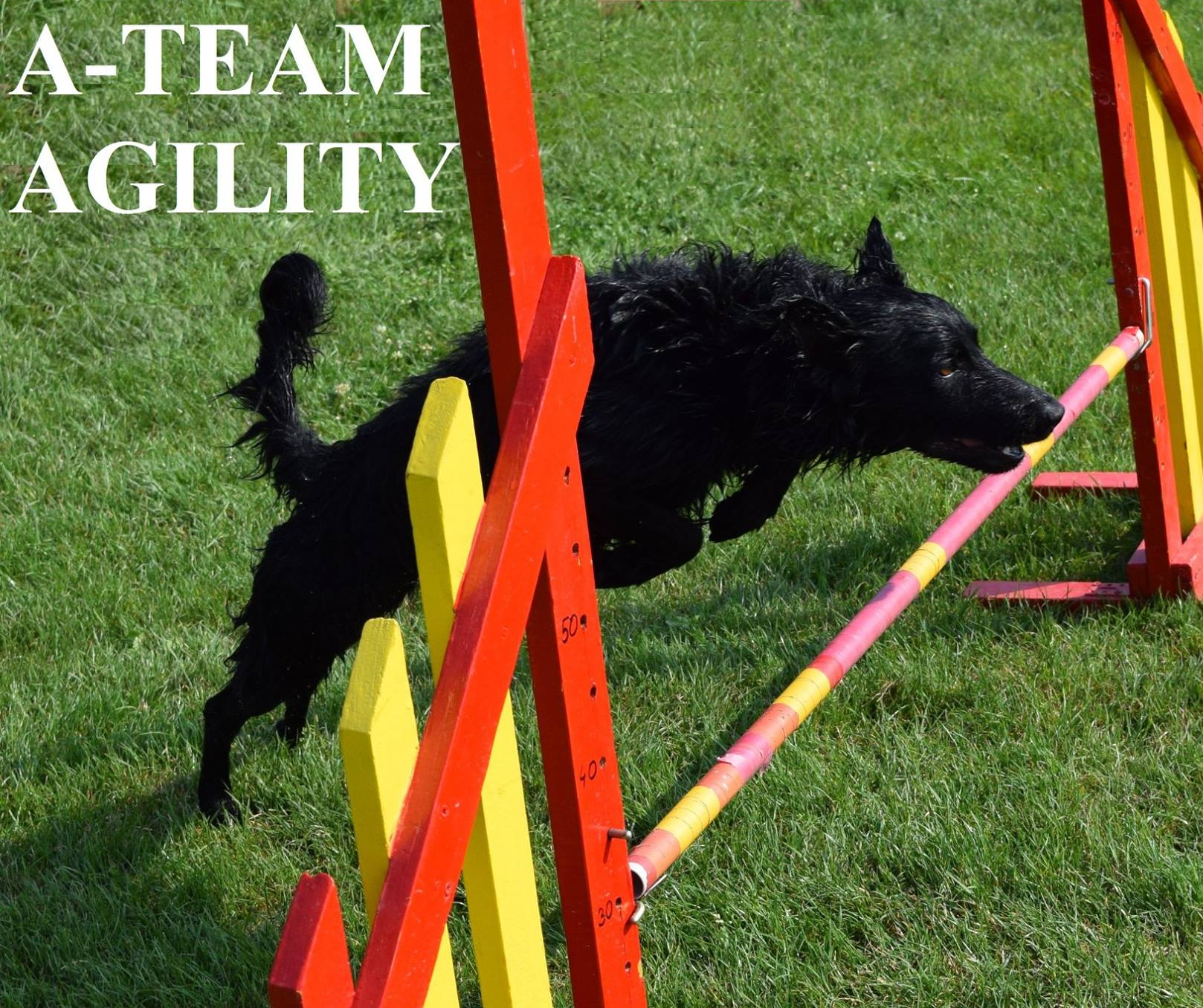 Kópé egy versenyen