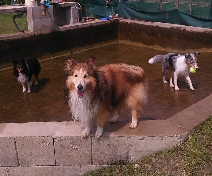 Fürdető medence feltöltése